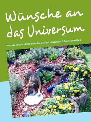 cover image of Wünsche an das Universum